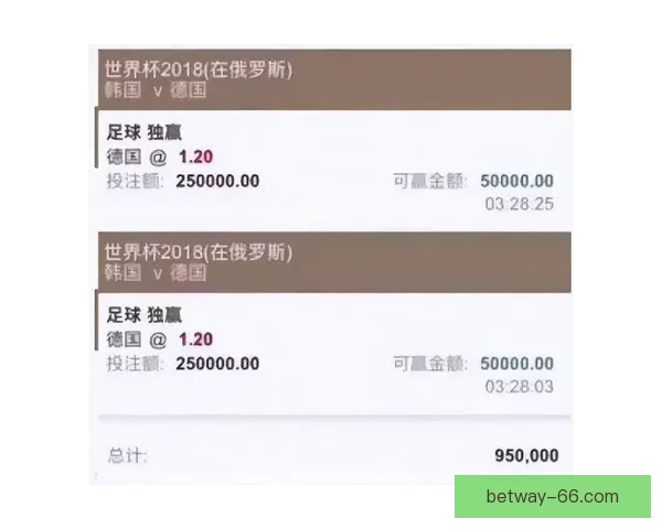 世界杯竞猜赔率平台全方位解析助您精准预测赛事结果提升投注体验